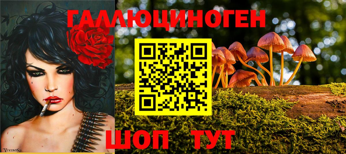 Галлюциногенные грибы Magic Shrooms Владимир