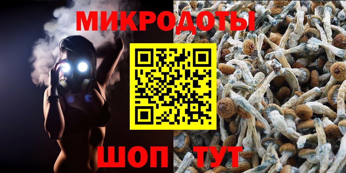 Псилоцибиновые грибы прущие грибы  Псилоцибиновые грибы прущие грибы  Владимир  Вход с VPN 